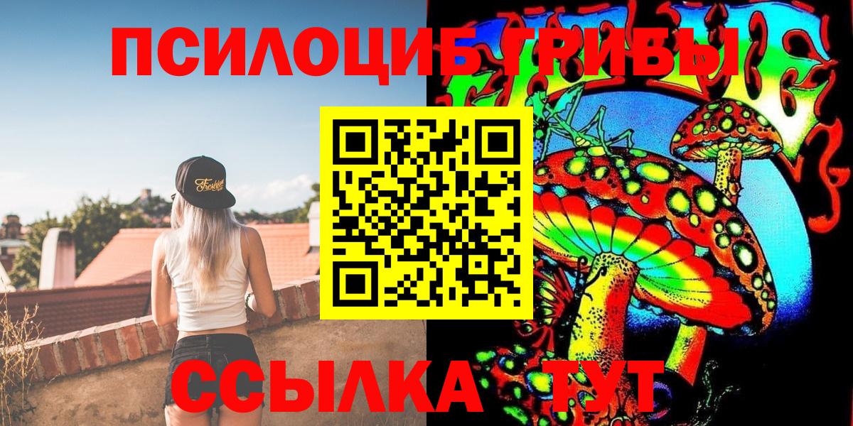 Псилоцибиновые грибы Psilocybe Назарово