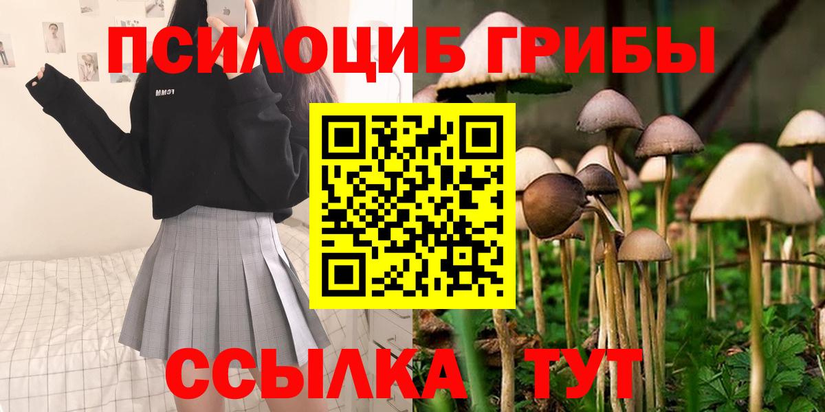 Назарово  купить наркоту  Вход с VPN  Галлюциногенные грибы Cubensis  Галлюциногенные грибы ЛСД 